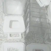 ظرف مکانیزه دان خوری طوطی سانان|لوازم جانبی حیوانات|فیروزکوه, |دیوار