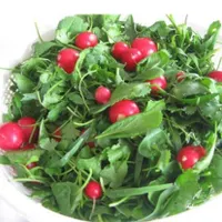 سبزی پاک شده درجه 1