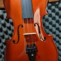 ویولن حرفه ای