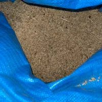 جو محلی