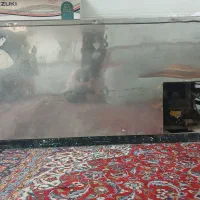 دستگاه فالوده ساز . وفریزر صندوقی