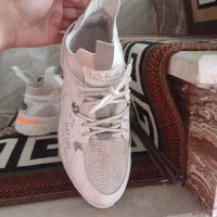 کفش در حدنو|کیف، کفش، کمربند|زنجان, |دیوار