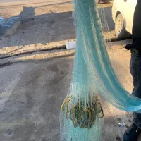 سلیه شبح ۲۵ متری