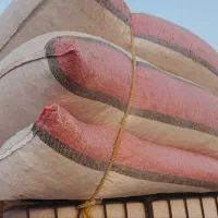 گوسفند کالوبیا