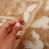 4انگستر و6النگوو2حلقه و1ساعت