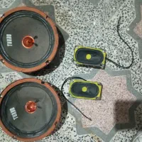 میدرنجو توییتر|صوتی و تصویری|رشت, گلسار|دیوار