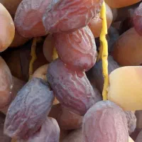 خرما بریمی خرده فروشی ۴۰۰