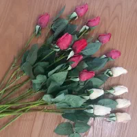 گل رز مصنوعی|گل مصنوعی|همدان, |دیوار