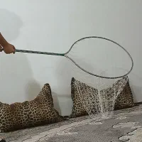 تور کفتر اورجینال نشگن نونو