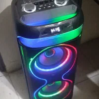 اسپیکر متوسط Winner