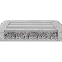 تشک سافت / دکتر شولز