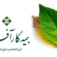 جذب فوری ،همکار