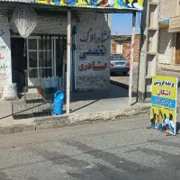 انواع نوع پرنده و دانه و دارو وغیره به نرخ عمده|پرنده|اندیمشک, |دیوار