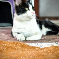 یه پسر خوشگل واگذار میشه