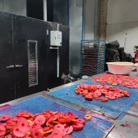 جذب نیرو خانم جهت کارگاه خشک کن