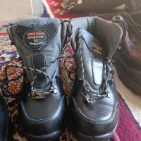 کفش کار|کیف، کفش، کمربند|فسا, |دیوار