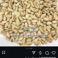 پسته و مشتقات پسته . پسته اکبری . پسته احمد|عمدهفروشی|تهران, والفجر|دیوار