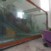 آکواریوم ضخیم ده میل اندازه 156 در 67 سانت