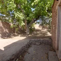 فروش زمین ۴۸۳ متری مسکونی در کشه|فروش زمین و ملک کلنگی|نطنز, |دیوار