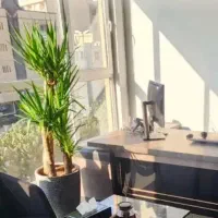 منشی خانم با بیمه