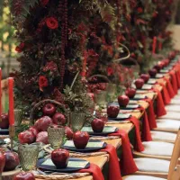 مجری برگزاری مراسمات و دورهمی ها