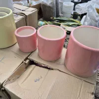 گل وگلدون|گل و گیاه طبیعی|گنبد کاووس, |دیوار