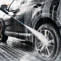 نیروی کارواش