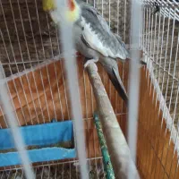 با عرض سلام