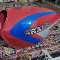 باک انژکتور