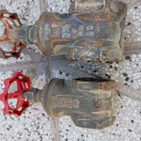 دو عدد شیر|مصالح و تجهیزات ساختمان|نیشابور, گنبد سبز|دیوار