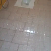 سرایداری یا کار در گلخانه