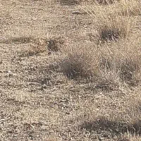 زمین-اشترینان-270-متر-وسط-شهر