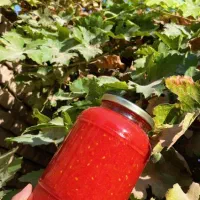 ترشیجات ارگانیک کوهیار|عمدهفروشی|سبزوار, خسروجرد|دیوار