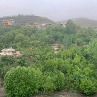 اجاره سوئیت جنگلی در ابرده