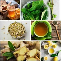 آموزش طب سنتی و کسب درآمد مخصوص بانوان
