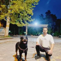 سگ روتوایلر جهت کشش