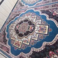 قالی|فرش|بانه, |دیوار