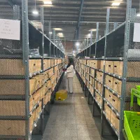استخدام اپراتور انبار با بیمه و مزایا در اسنپ شاپ|استخدام صنعتی، فنی، مهندسی|تهران, بریانک|دیوار
