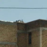 زمین-سرطاف