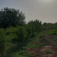 فروش باغ تاکستان قزوین ۸۳۲۰ متری|فروش زمین و ملک کلنگی|تهران, دریاچه شهدای خلیج فارس|دیوار