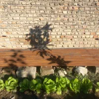 اهن قیمت توافقی|مصالح و تجهیزات ساختمان|علیآباد کتول, |دیوار