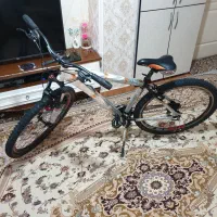 دوچرخه ویوا.سناتور.سایز ۲۹