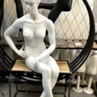 مانکن حرفه ای