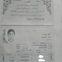 شناسنامه گم شده