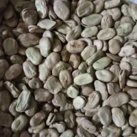 واقع در دارخوین