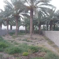 باغ ۱۰۰۰ متری