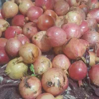رب انار خانگی درجه یک سفت و ملس|خوردنی و آشامیدنی|سبزوار, ابارش|دیوار