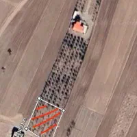 ۱۰۰۰ متر باغ بادوم فرانسوی قازنداقی|فروش دفتر صنعتی، کشاورزی، تجاری|تاکستان, |دیوار