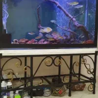 آکواریوم با پایه ،شن کف ،پمپ آتمن، سنگ هوا،درب