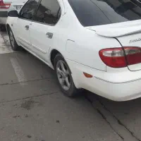 ماکسیما مدل 81